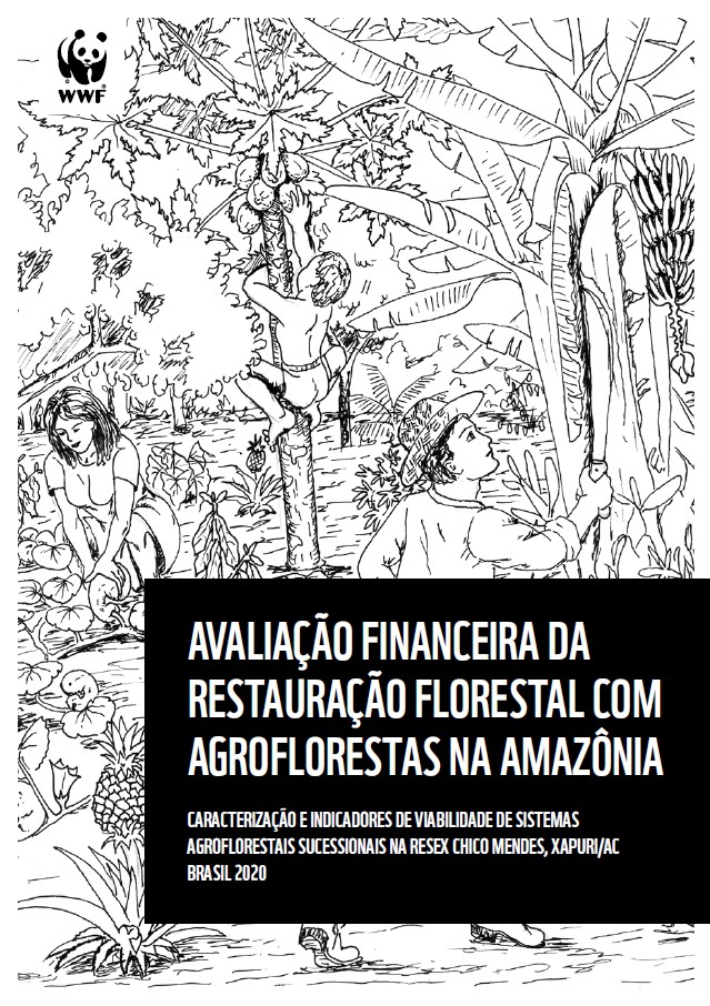 Avaliação financeira da restauração florestal com agroflorestas na Amazônia