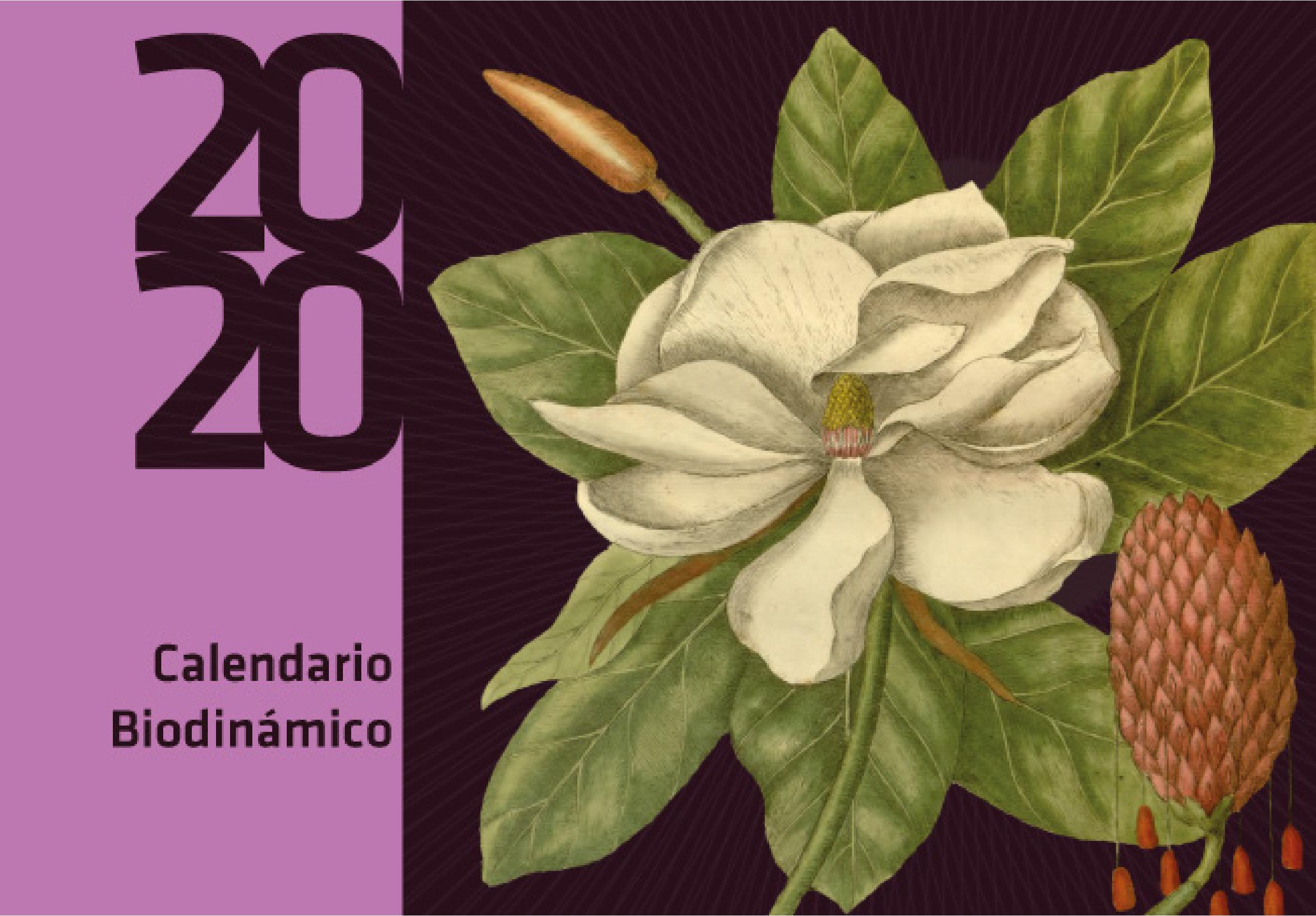 Calendário Biodinâmico 2020 (em espanhol)