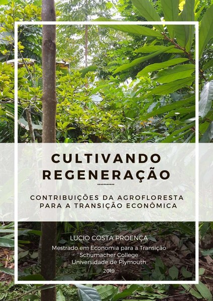 Cultivando regeneração: contribuições da agrofloresta para a transição econômica