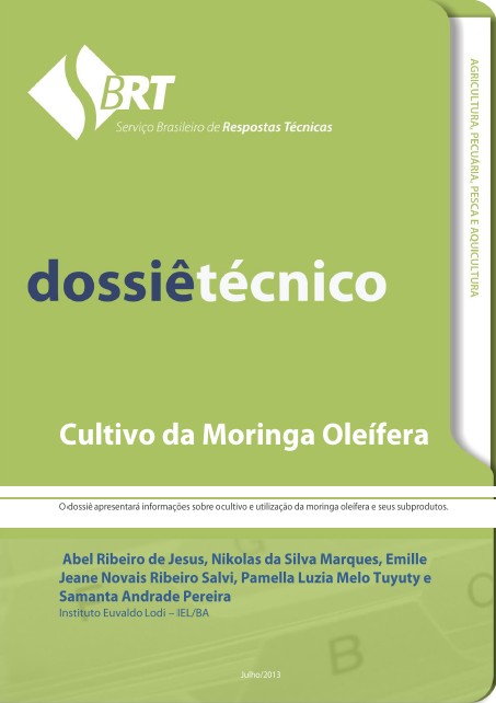 Cultivo da Moringa Oleífera