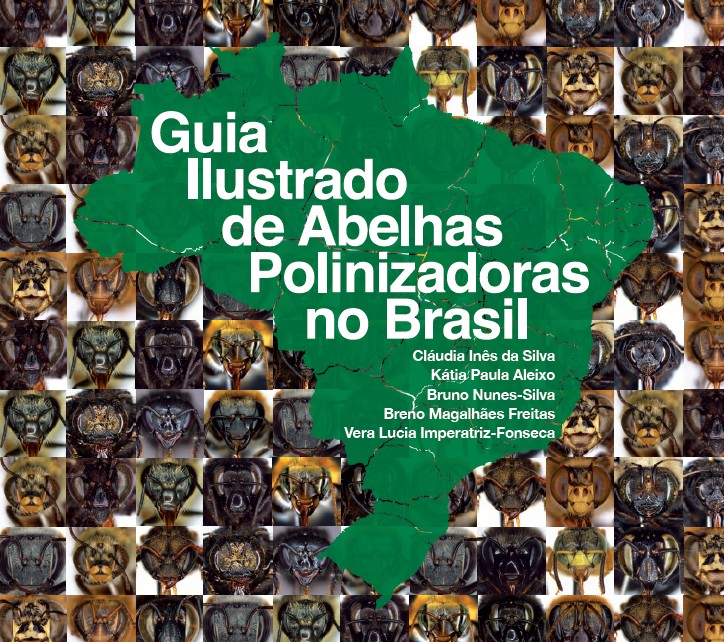 Guia ilustrado de abelhas polinizadoras no Brasil