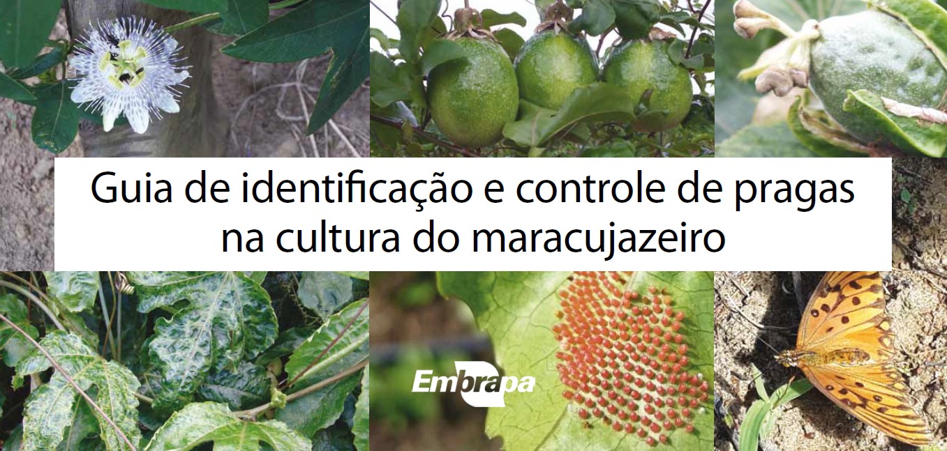 Guia de identificação e controle de pragas na cultura do maracujazeiro