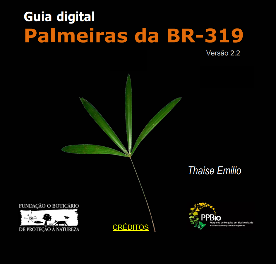 Palmeiras da BR-319