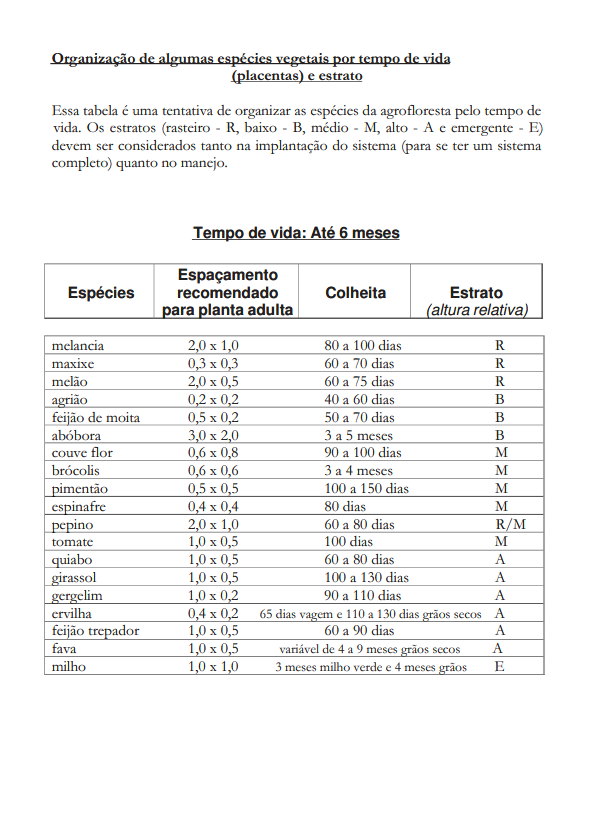 Organização de algumas espécies vegetais por tempo de vida (placentas) e estrato