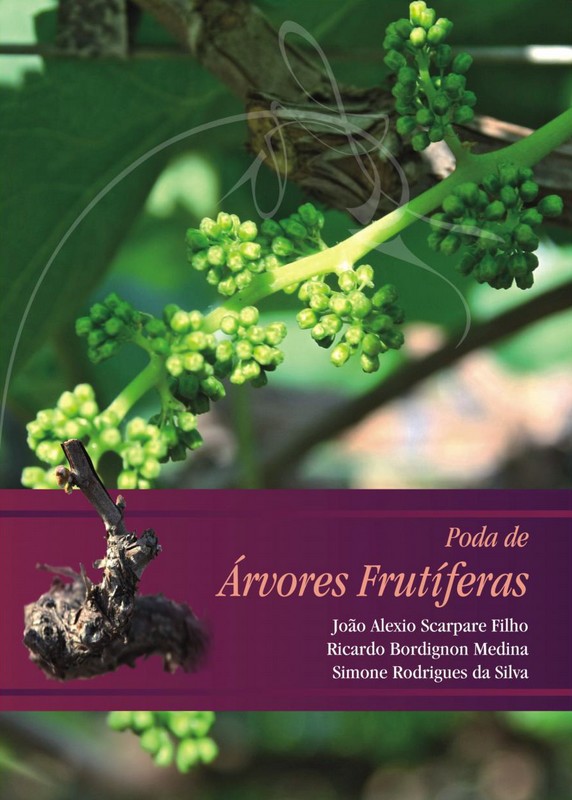 Poda de árvores frutíferas