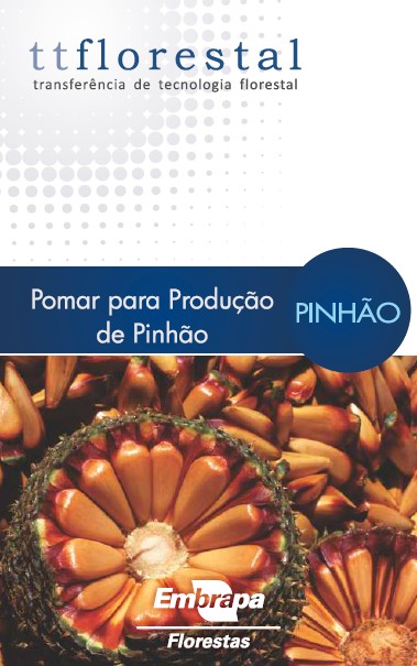 Pomar para a produção de Pinhão – Embrapa