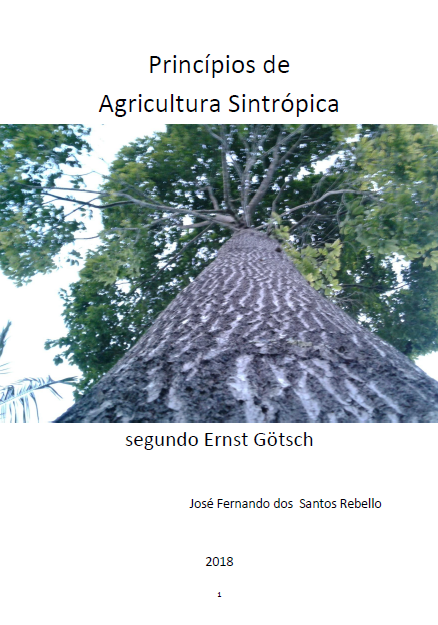 Princípios de Agricultura Sintrópica segundo Ernst Götsch