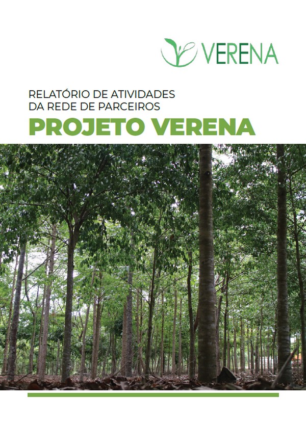 Projeto Verena – Relatório de atividades da rede de parceiros
