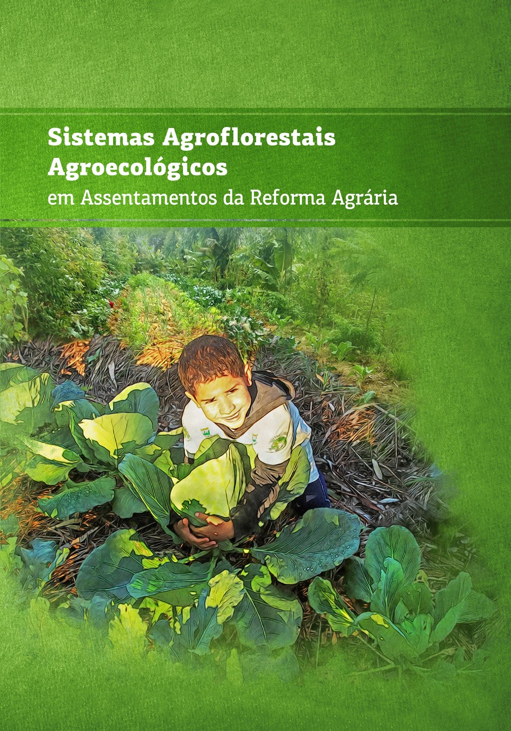 Sistemas Agroflorestais Agroecológicos em assentamentos da Reforma Agrária