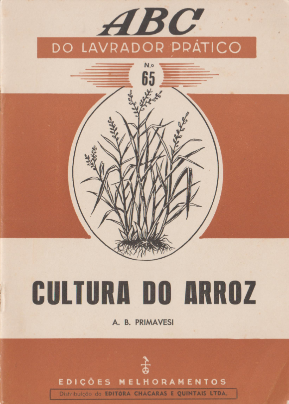 A cultura do Arroz