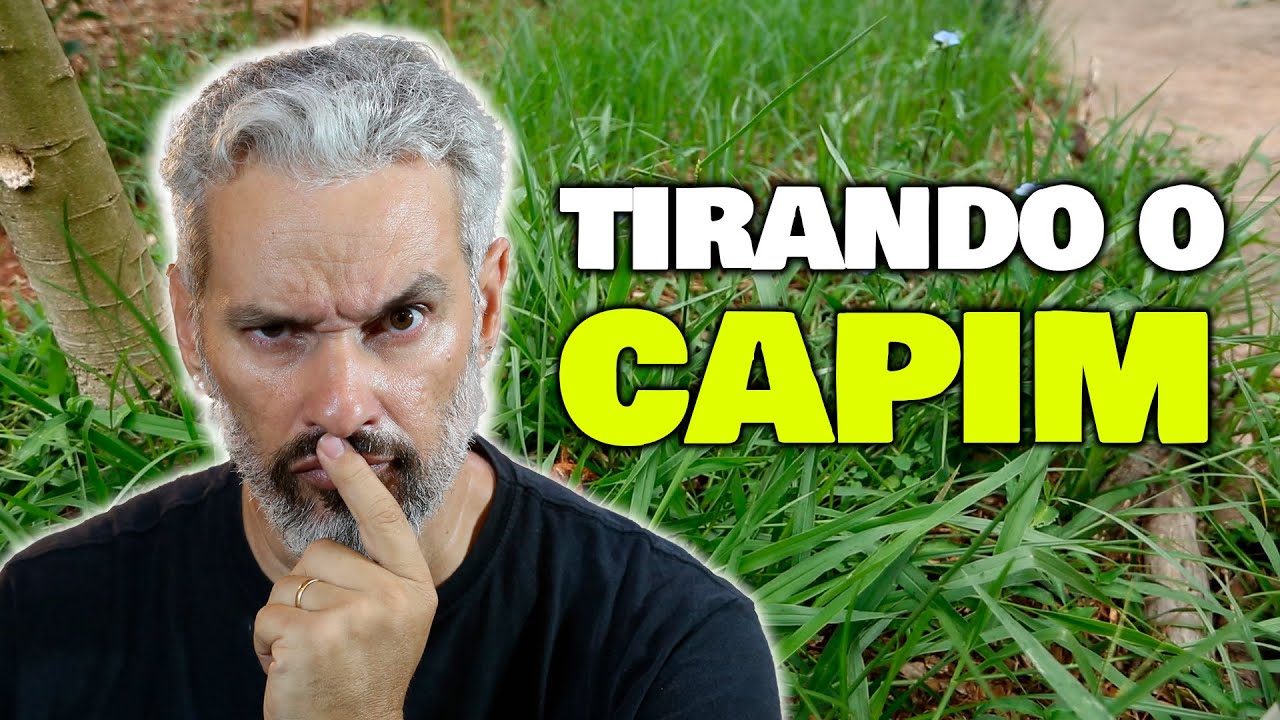 Por que fazer capina seletiva na sua horta orgânica?
