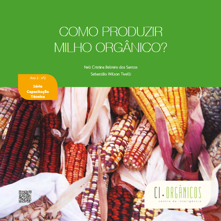 Como produzir milho orgânico