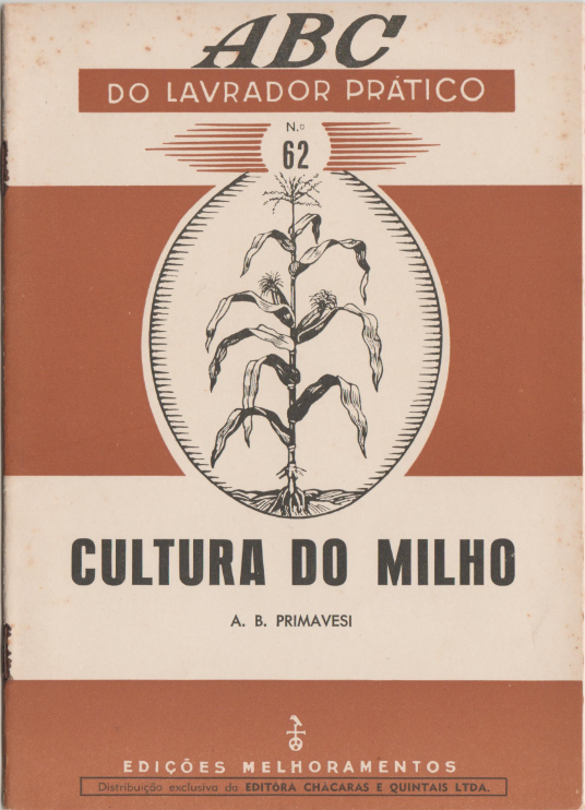 Cultura do Milho