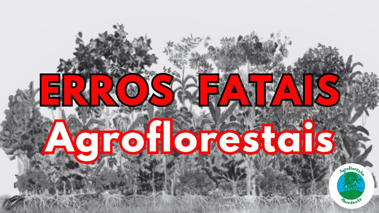 Combinações perigosas na agrofloresta e segredos para consórcios perfeitos