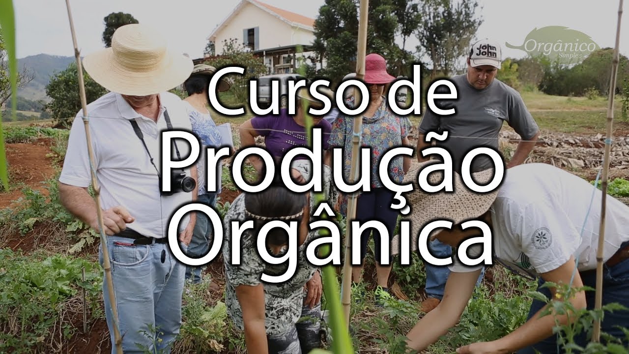 Curso de produção orgânica