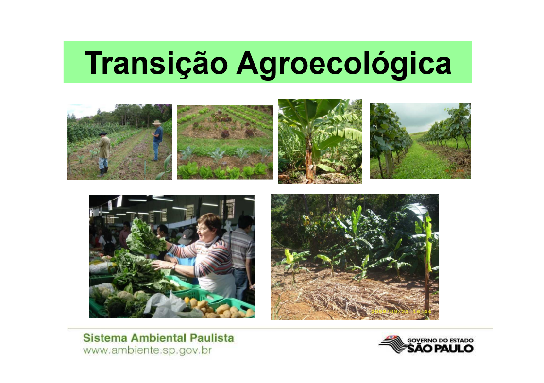 Protocolo de Transição Agroecológica – Mesa 3