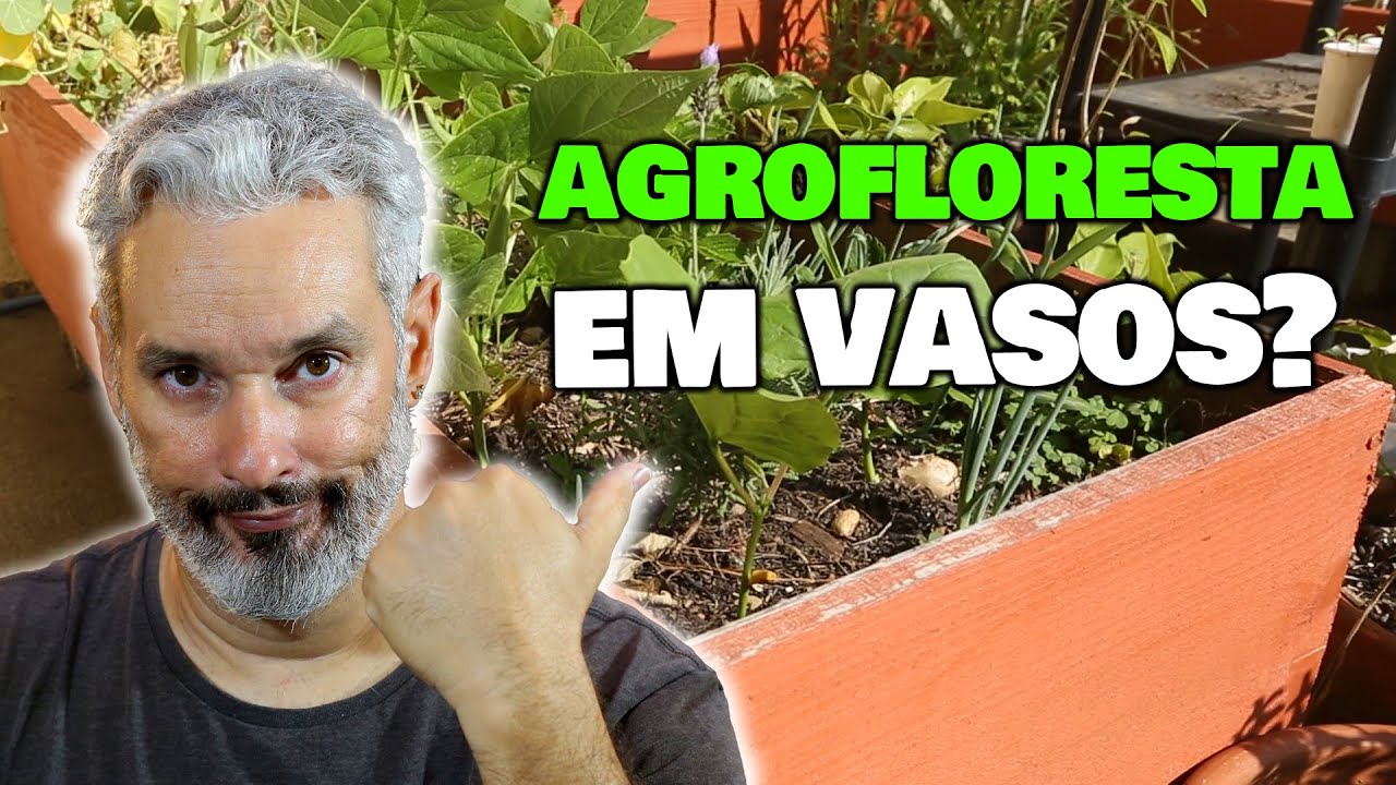 Como aplicar os conceitos da Agrofloresta em um quintal com vasos?