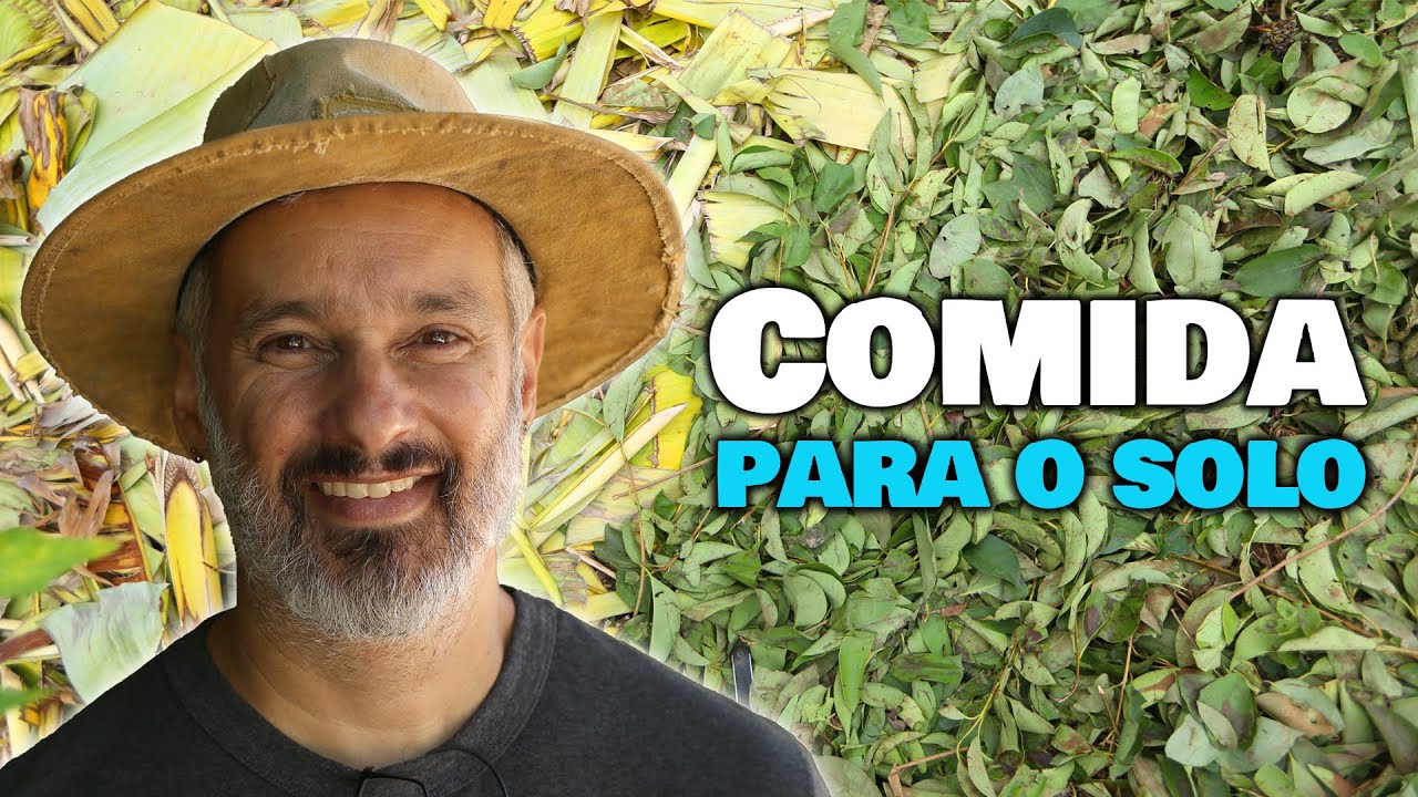 Cobertura de solo: que materiais usar e como organizar na horta orgânica?