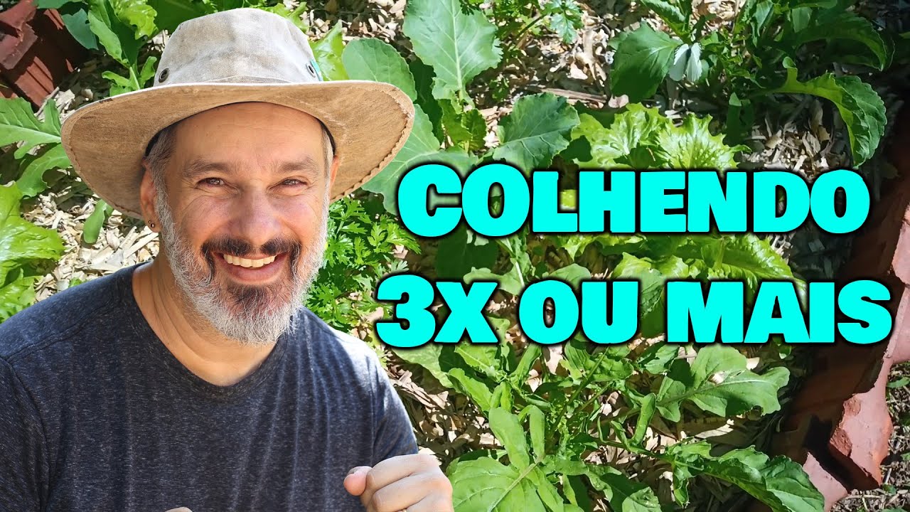 Como plantar mais e triplicar sua colheita sem sair de casa?