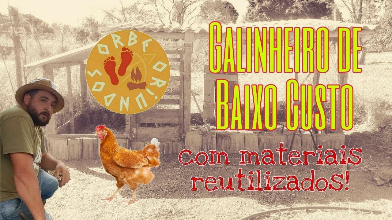 Galinheiro de baixo custo