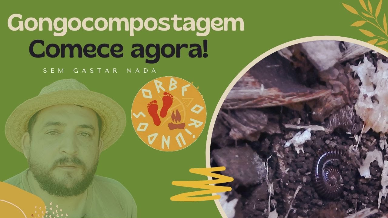 Como iniciar na gongocompostagem