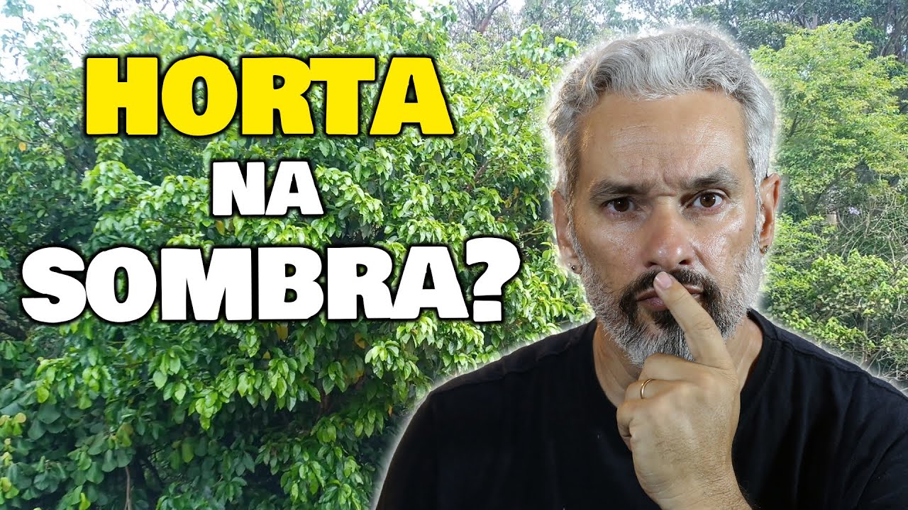 Como lidar com a sombra das árvores na minha horta?