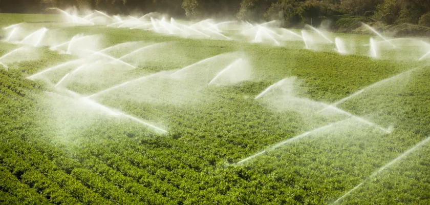 Como economizar água e manter a produtividade nas plantações