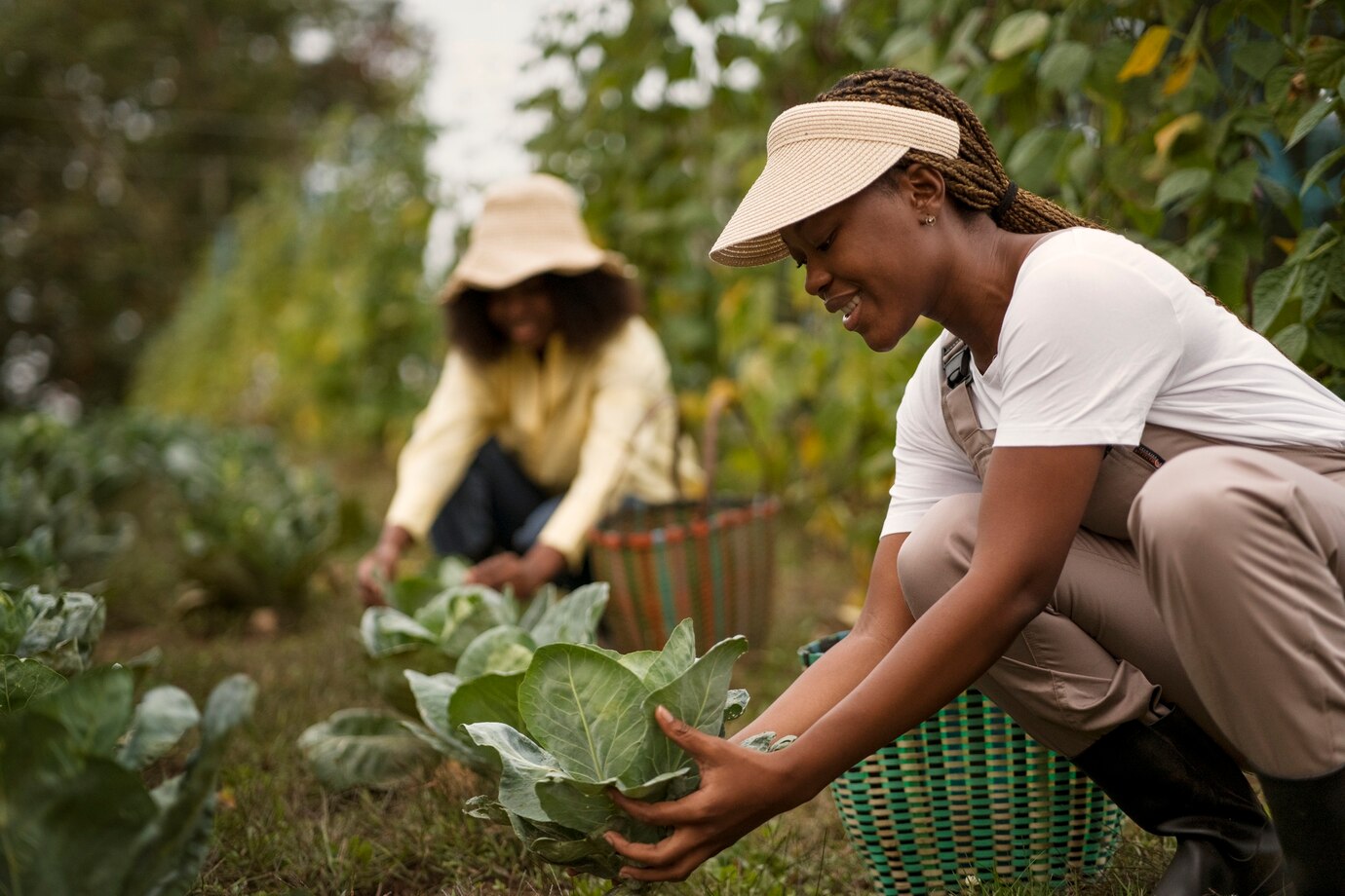 Agrofloresta x Agricultura Sintrópica x Permacultura x Orgânicos